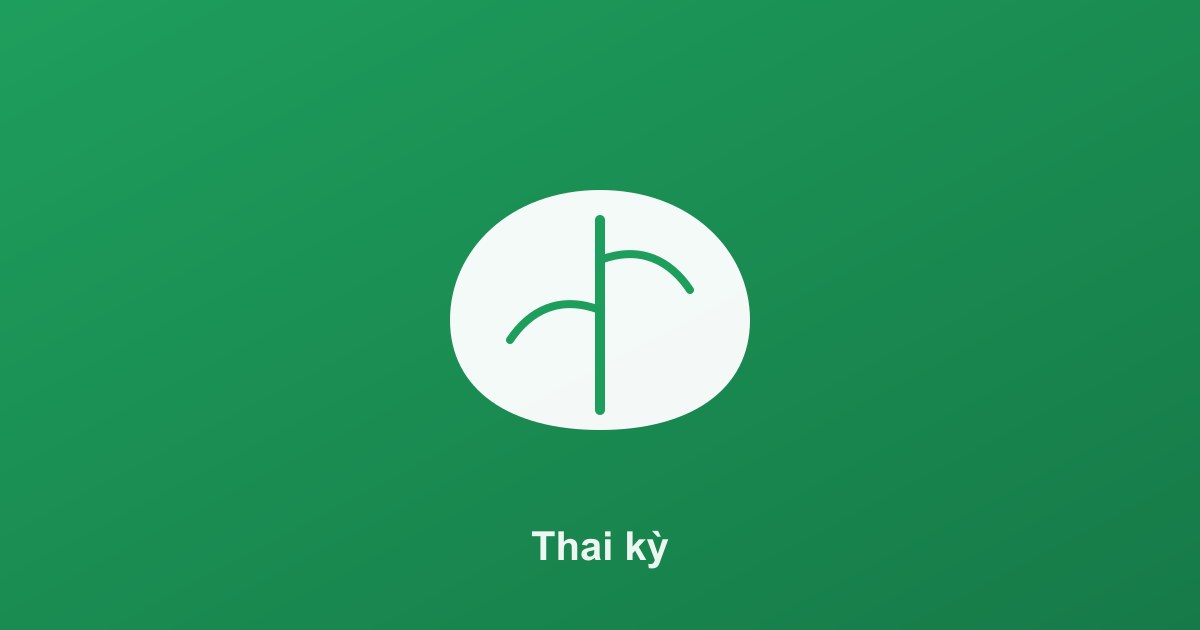 Hành trình thai kỳ: tổng quan 3 tam cá nguyệt